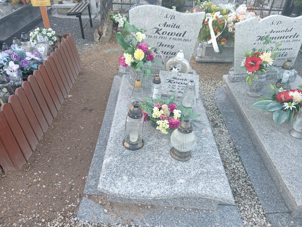 Grób Arnold Hemmerle