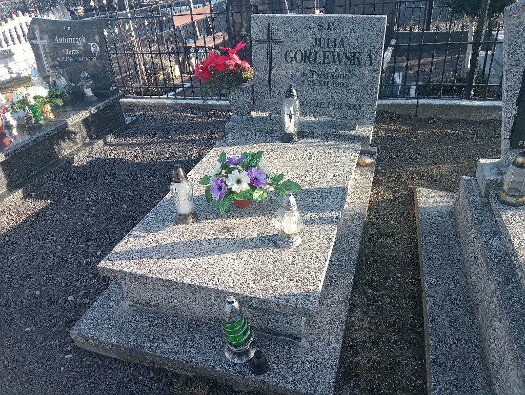 Grób Julia Gorlewska